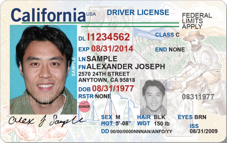 Drivers License For Non Citizens